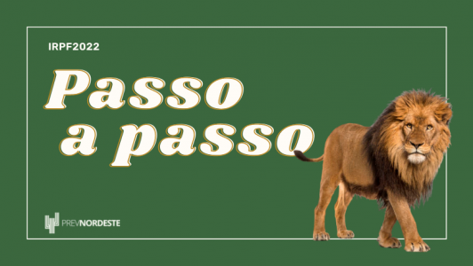 Passo a Passo IRPF 2022